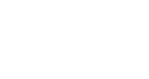 Bifferato Gentilotti LLC